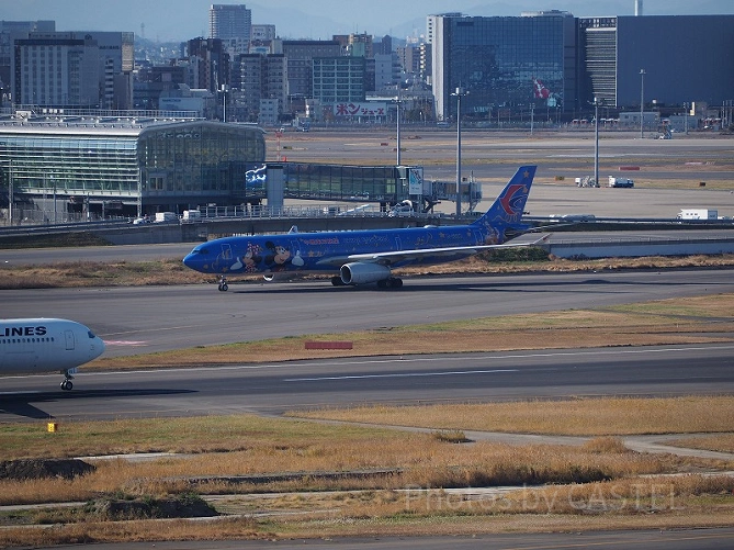 特徴のある飛行機が現れることも♪