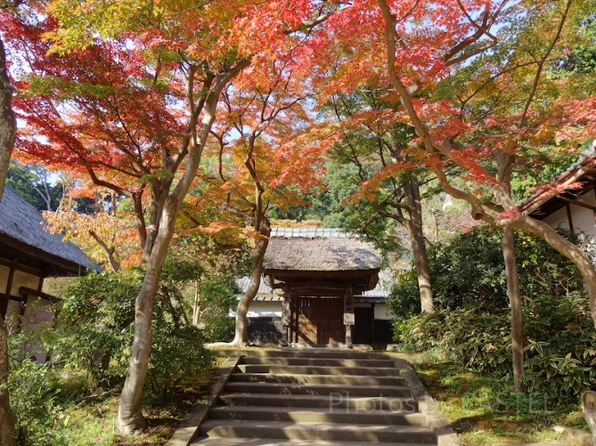 円覚寺