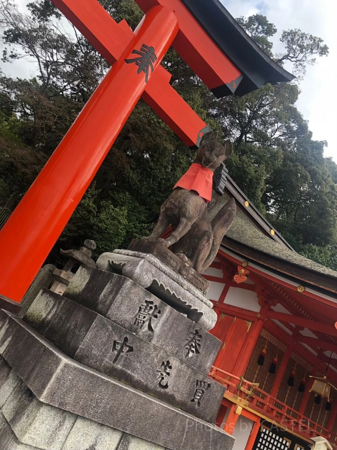 きつね