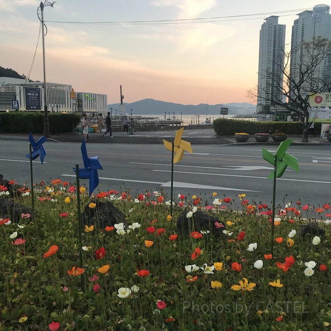 海雲台