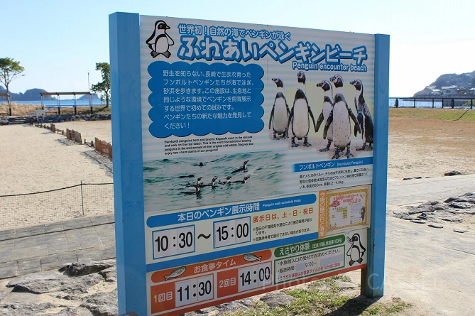 ふれあいペンギンビーチ