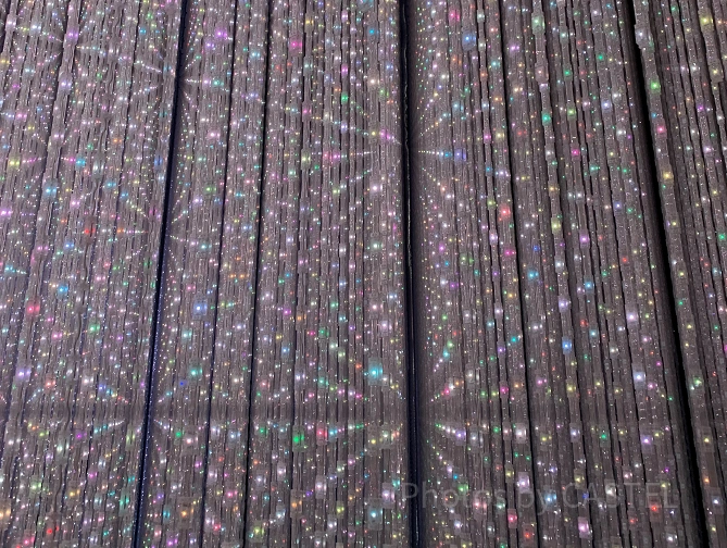 チームラボ豊洲の「The Infinite Crystal Universe」