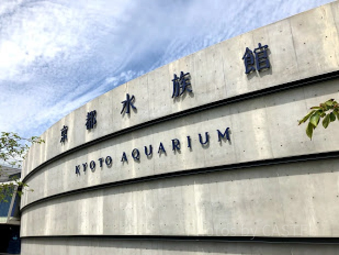 京都水族館