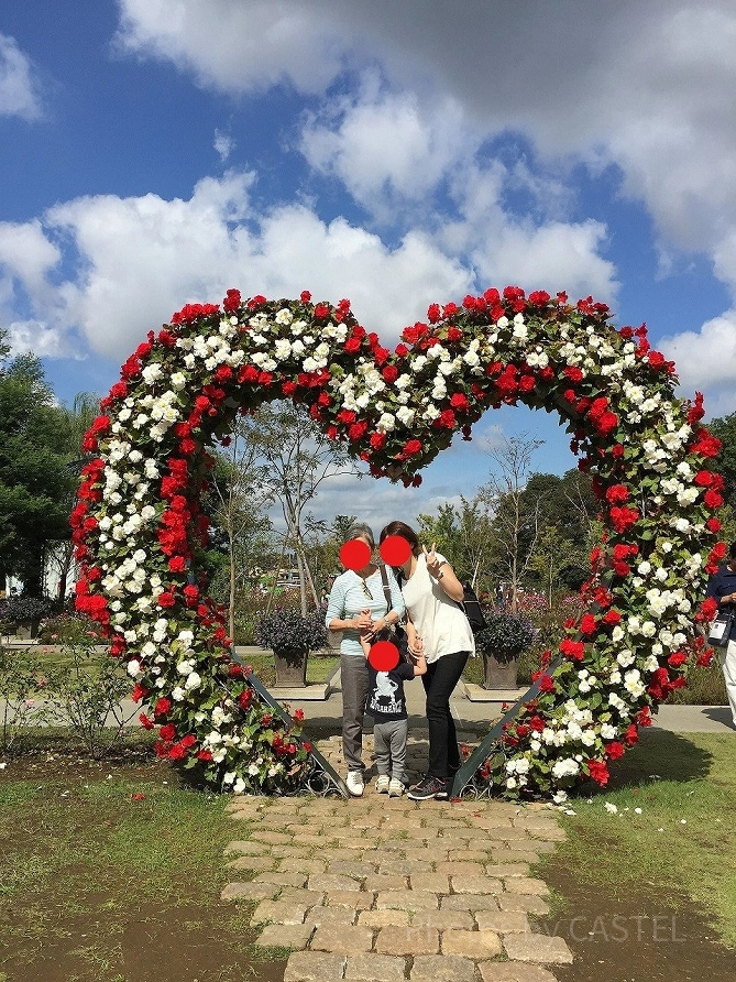アンデルセン公園／ハートのトピアリー
