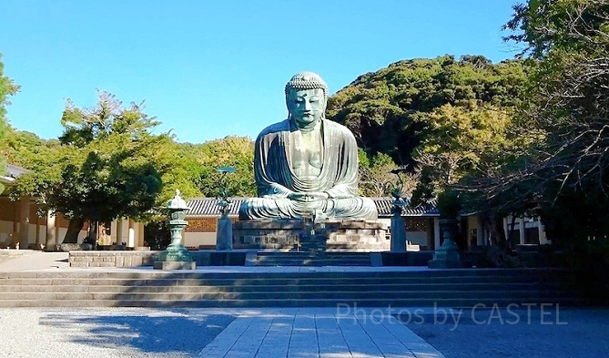 鎌倉大仏はどんな大仏さま？