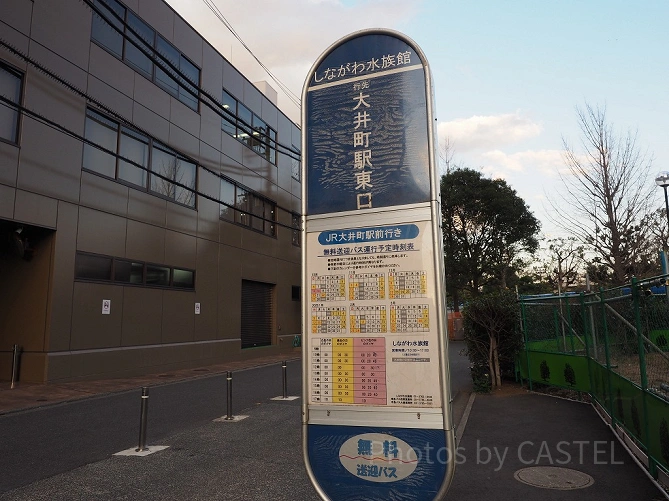 しながわ水族館には大井町駅との間に無料送迎バスが出ています