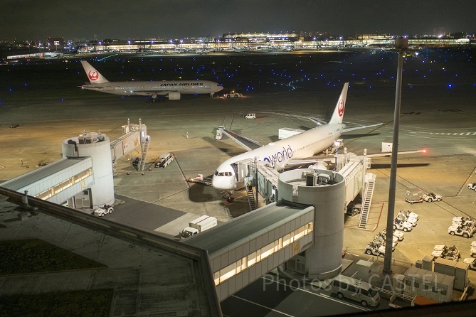 羽田空港のプラネタリウム：混雑状況