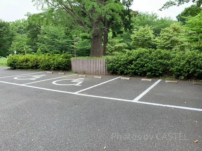 江古田の森公園の駐車場