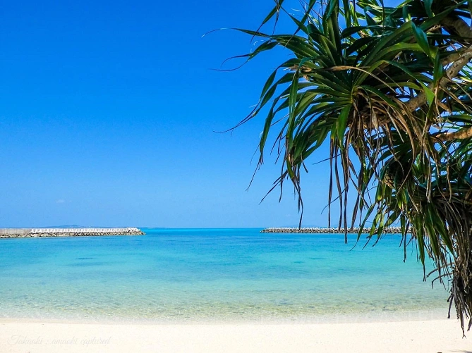 沖縄の海