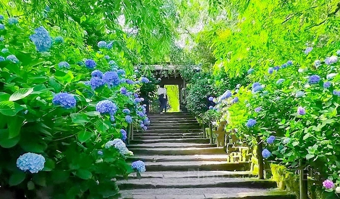 明月院