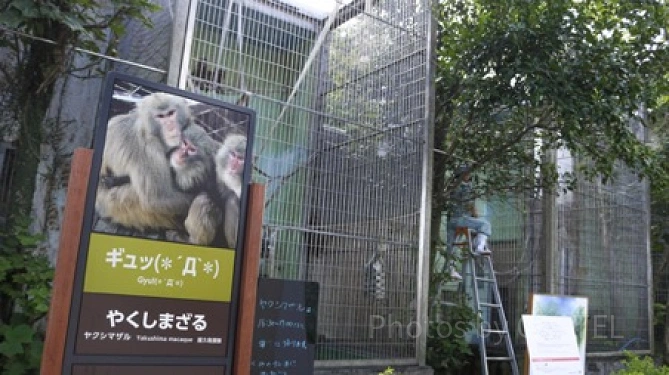 やくしまざる／「沖縄こどもの国」