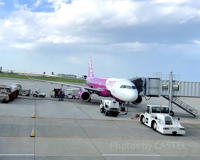 ピーチの飛行機