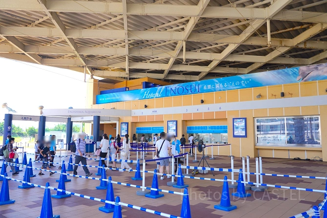 新江ノ島水族館（えのすい）割引チケット