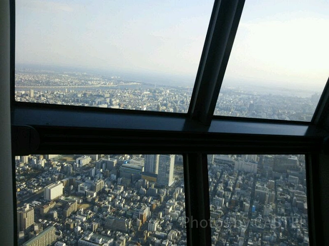 スカイツリーの展望台からの景色
