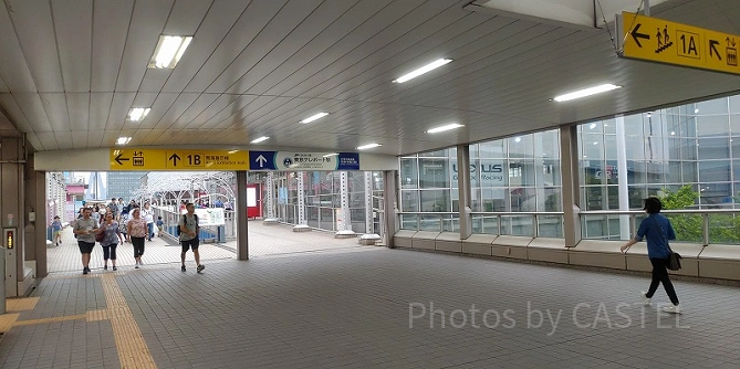 お台場周辺にはショッピングモールなども多くあります