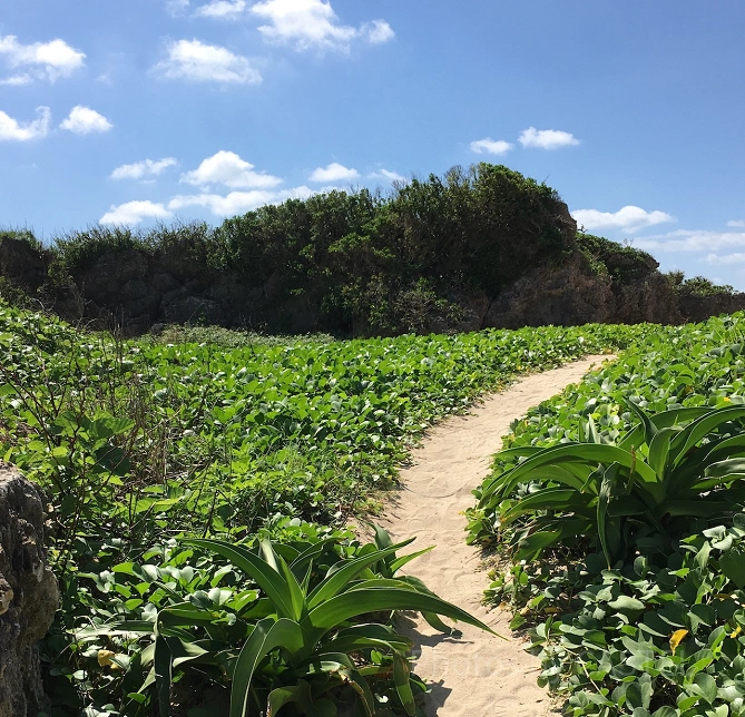 絶景ビーチへと続く道