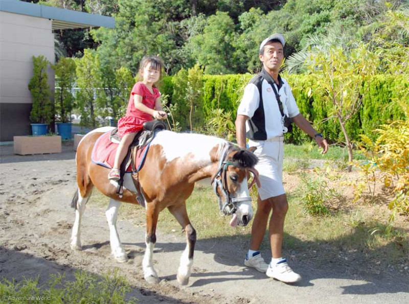 ポニー乗馬体験