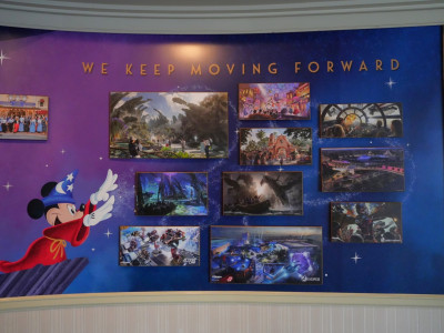 カリフォルニアアナハイムディズニー：持ち物