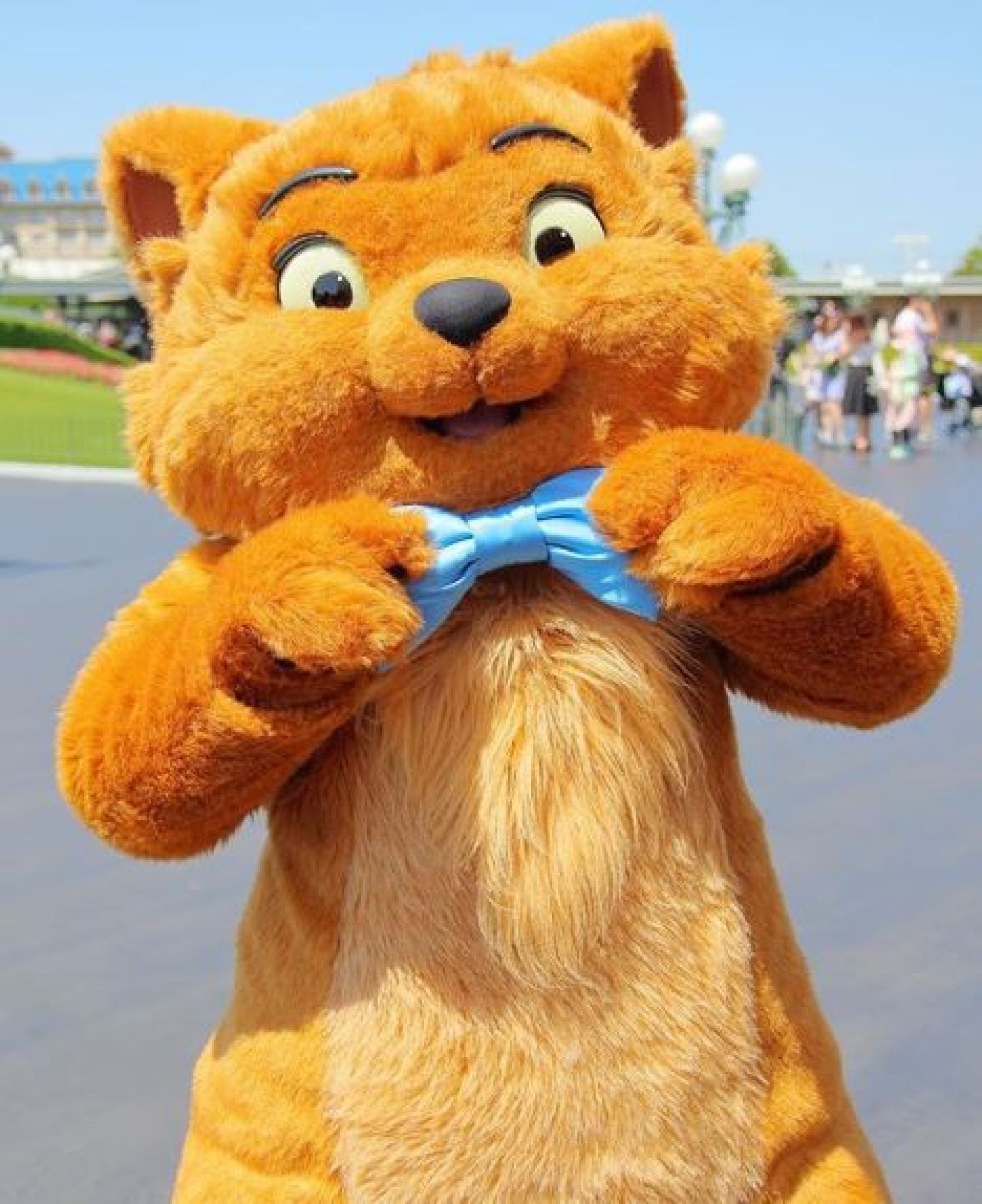 トゥルーズ キャステル Castel ディズニー情報 トゥルーズ キャステル Castel ディズニー情報