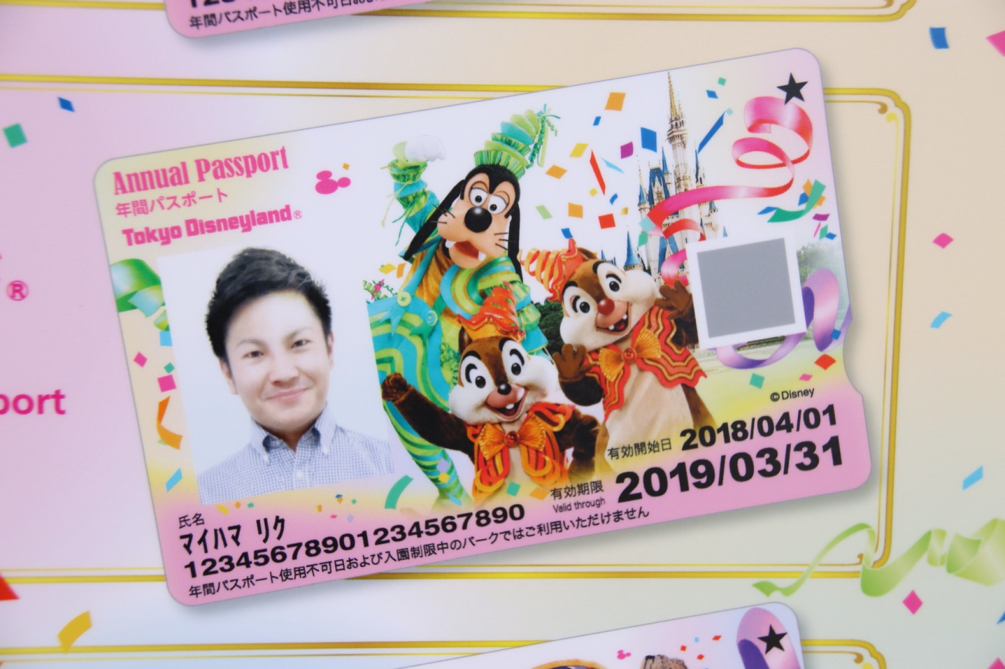 新デザイン ディズニーランド年間パスポート 18年3月1日 木 19年3月25日 月 キャステル Castel ディズニー情報