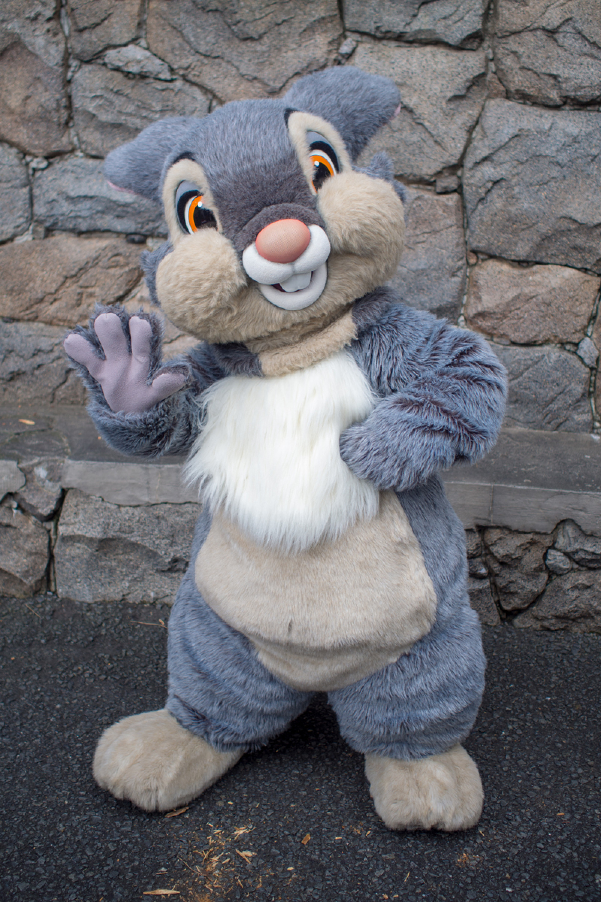 とんすけ キャステル Castel ディズニー情報 とんすけ キャステル Castel ディズニー情報