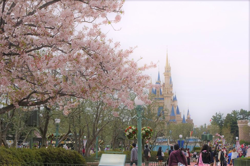 必見 春秋のディズニー花粉情報 花粉対策グッズまとめ