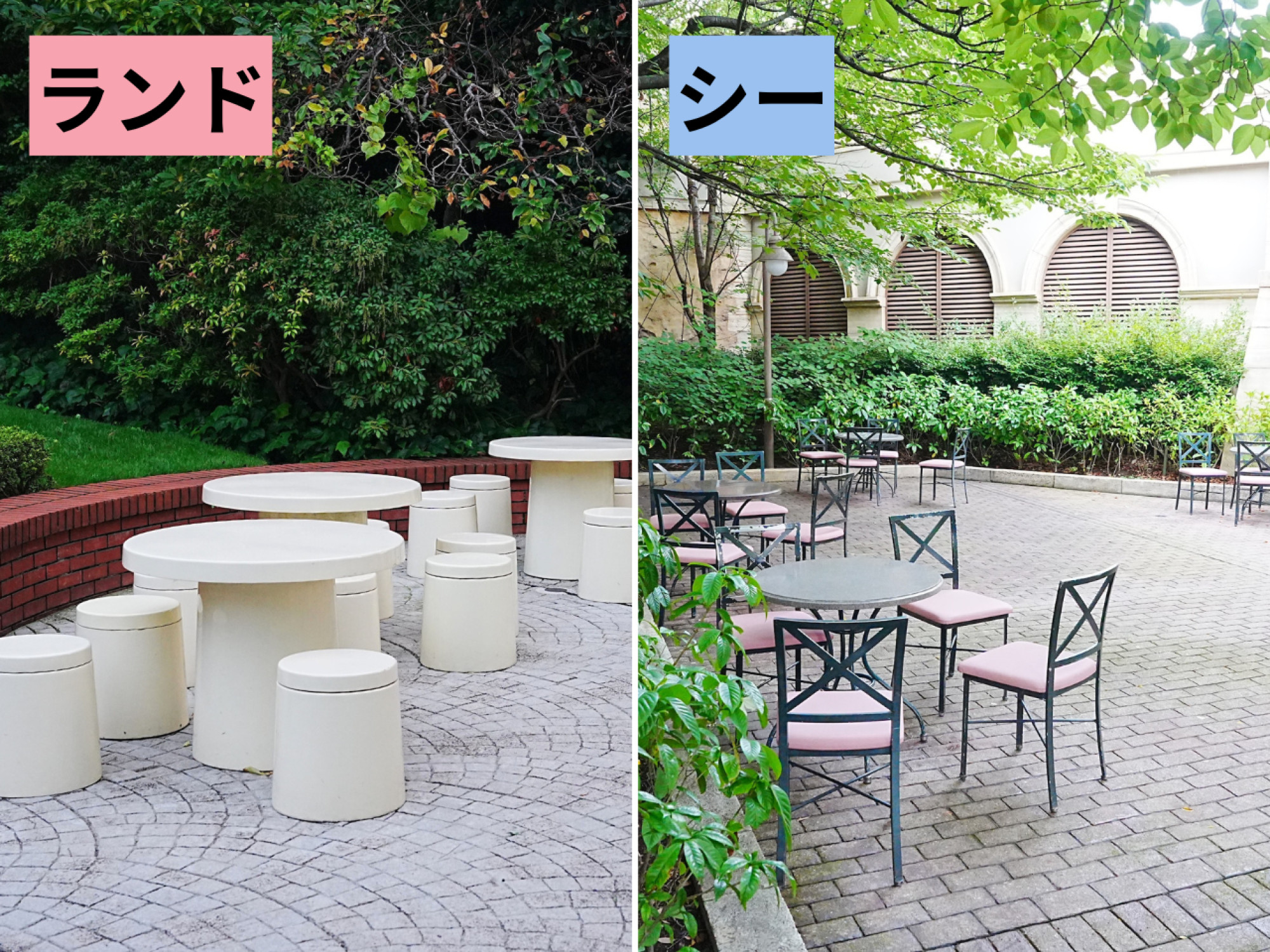 ピクニックエリアとは キャステル Castel ディズニー情報