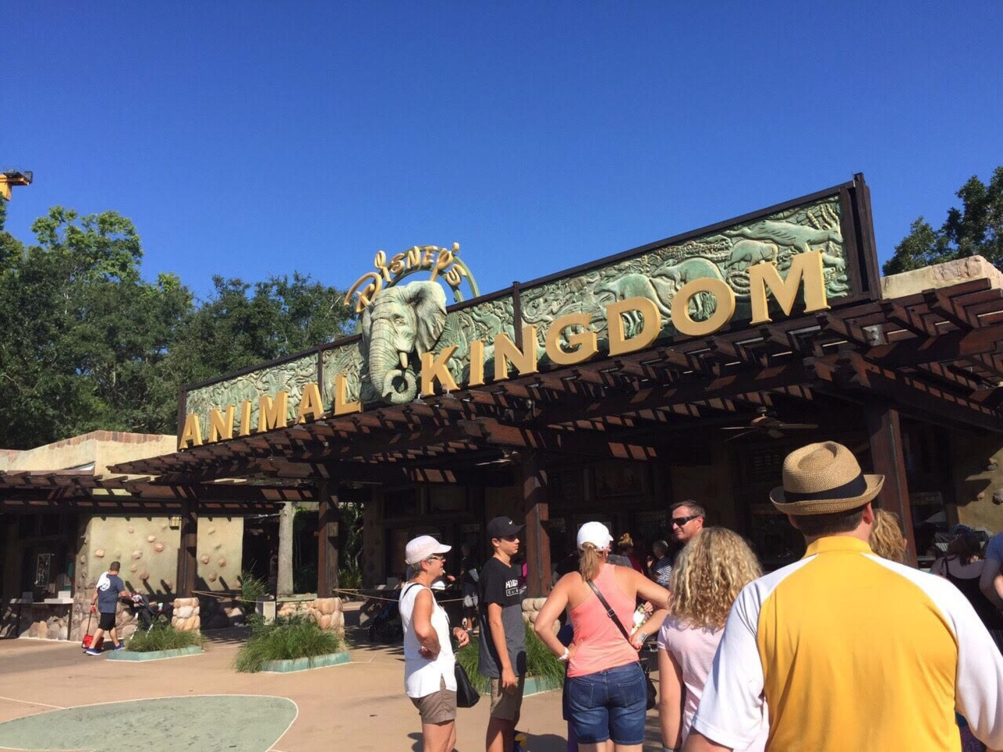 ディズニー アニマル キングダムのエントランス キャステル Castel ディズニー情報