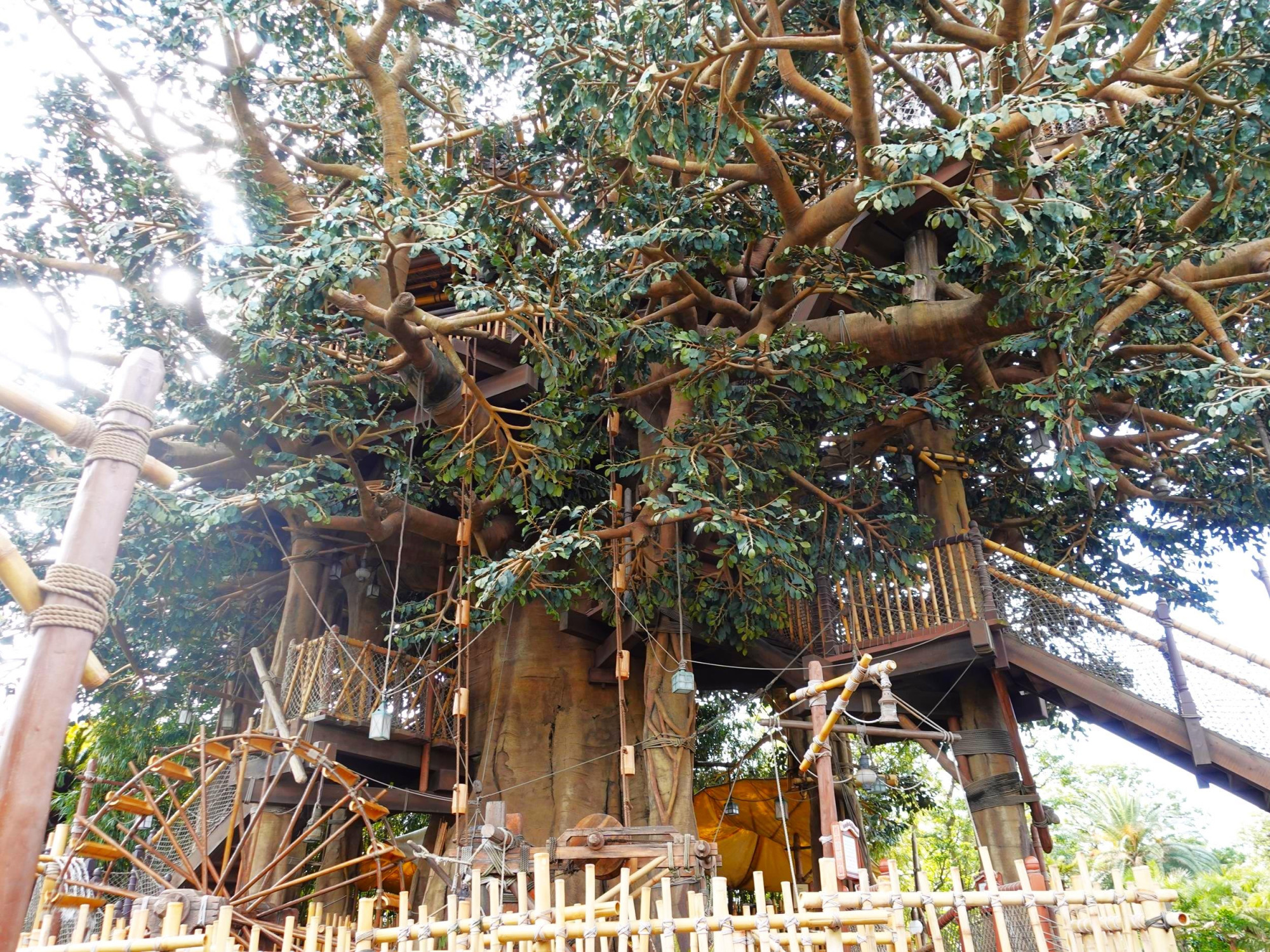 穴場の写真スポットでもあるスイスファミリー ツリーハウス キャステル Castel ディズニー情報