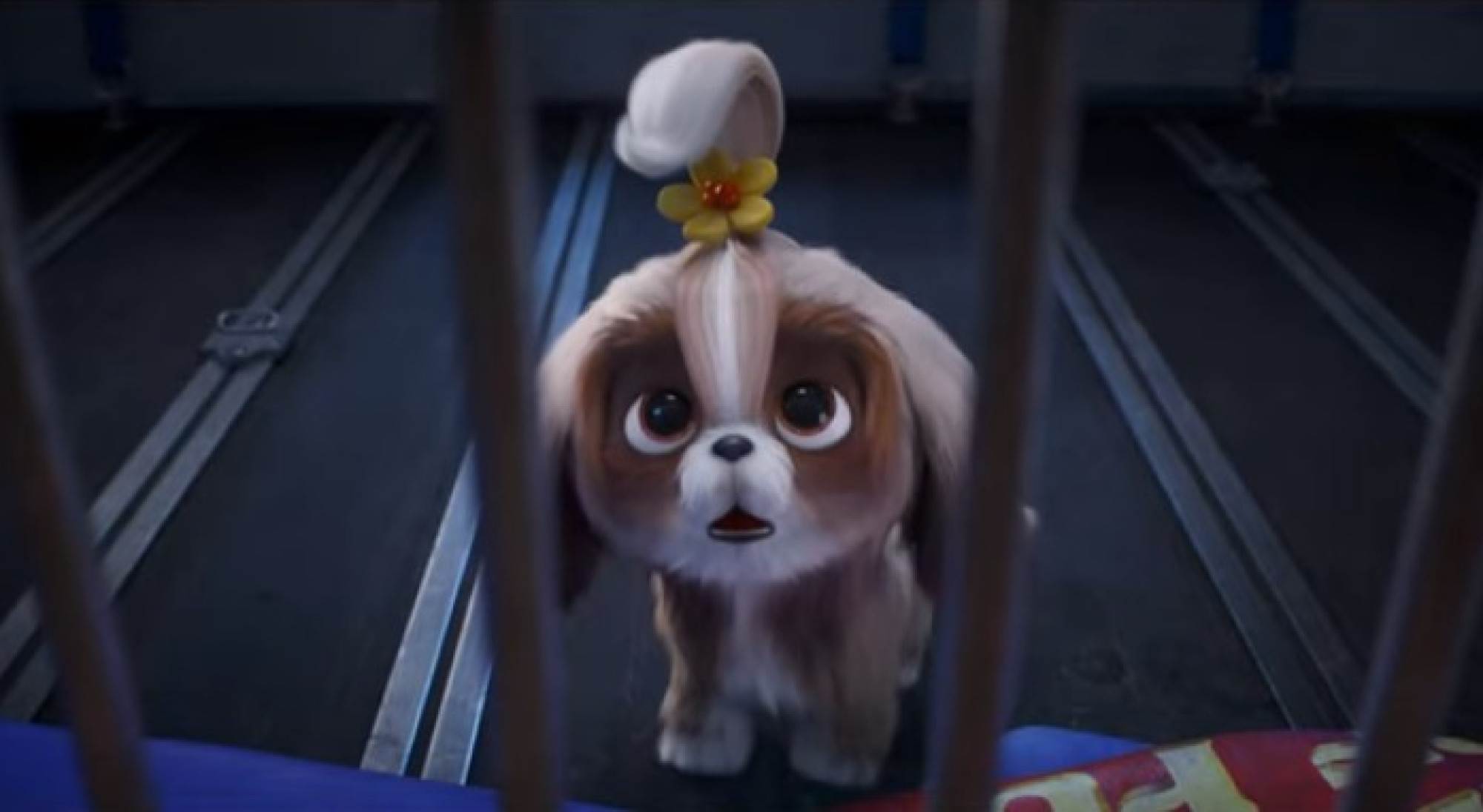 デイジー 映画 ペット2 キャステル Castel ディズニー情報