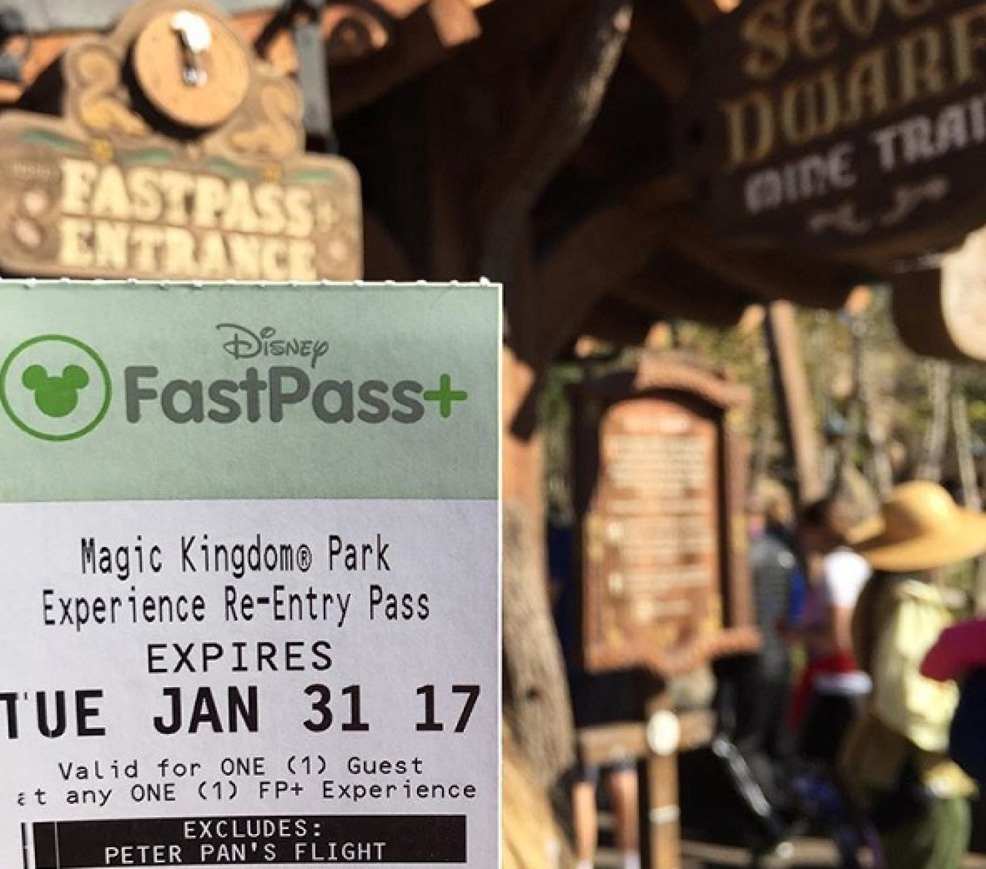 Wdwの再入場ファストパス キャステル Castel ディズニー情報