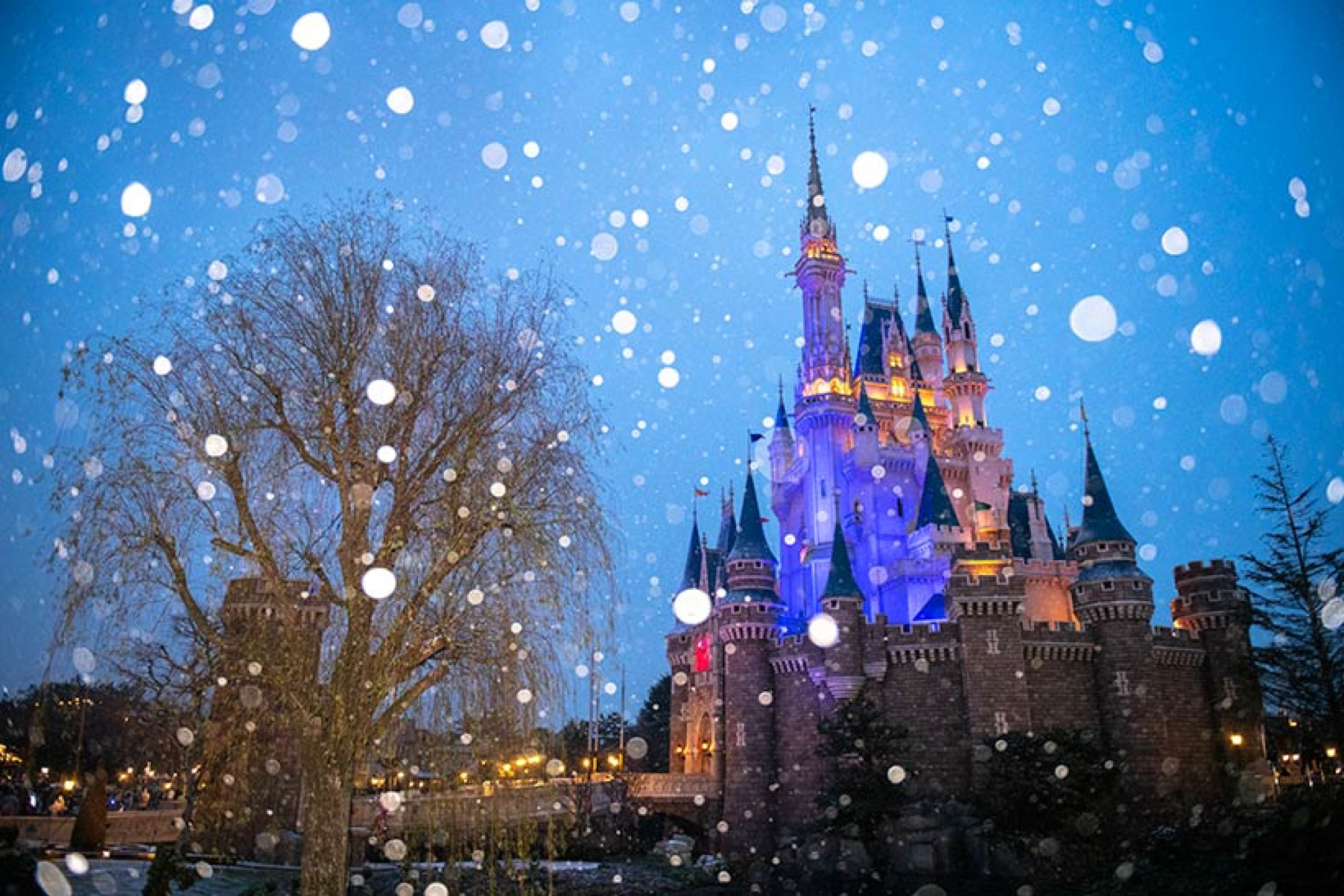 ディズニー雪 キャステル Castel ディズニー情報