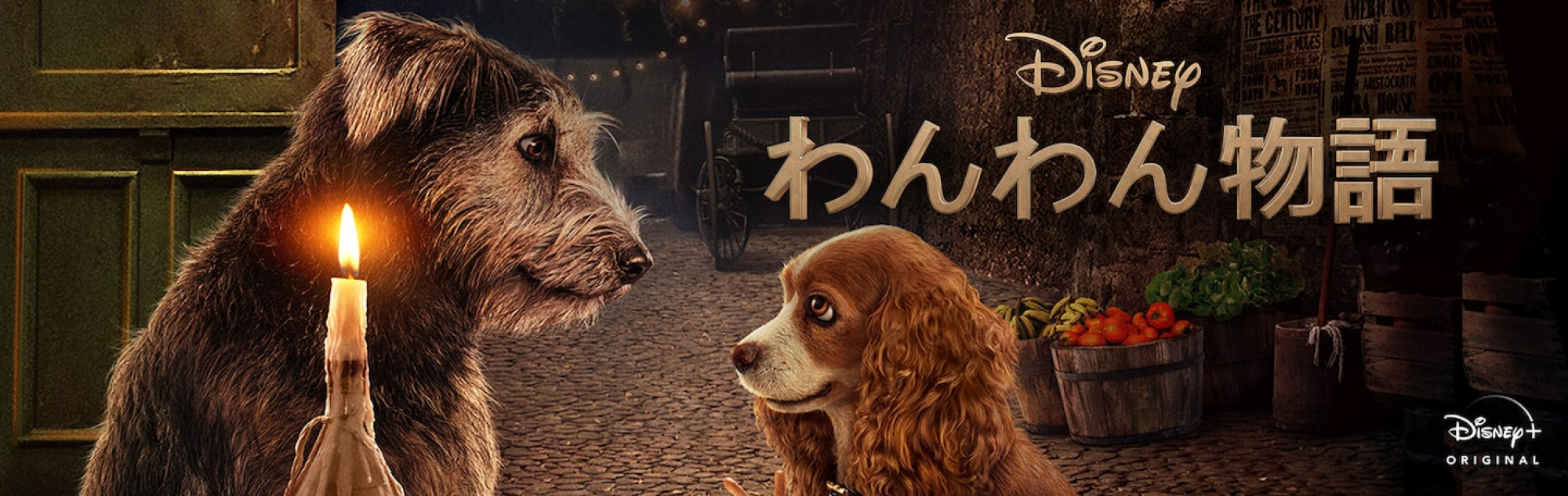 実写版 わんわん物語 に出演しているのは本物の犬たち キャステル Castel ディズニー情報 実写版 わんわん物語 に出演しているのは本物の犬たち キャステル Castel ディズニー情報