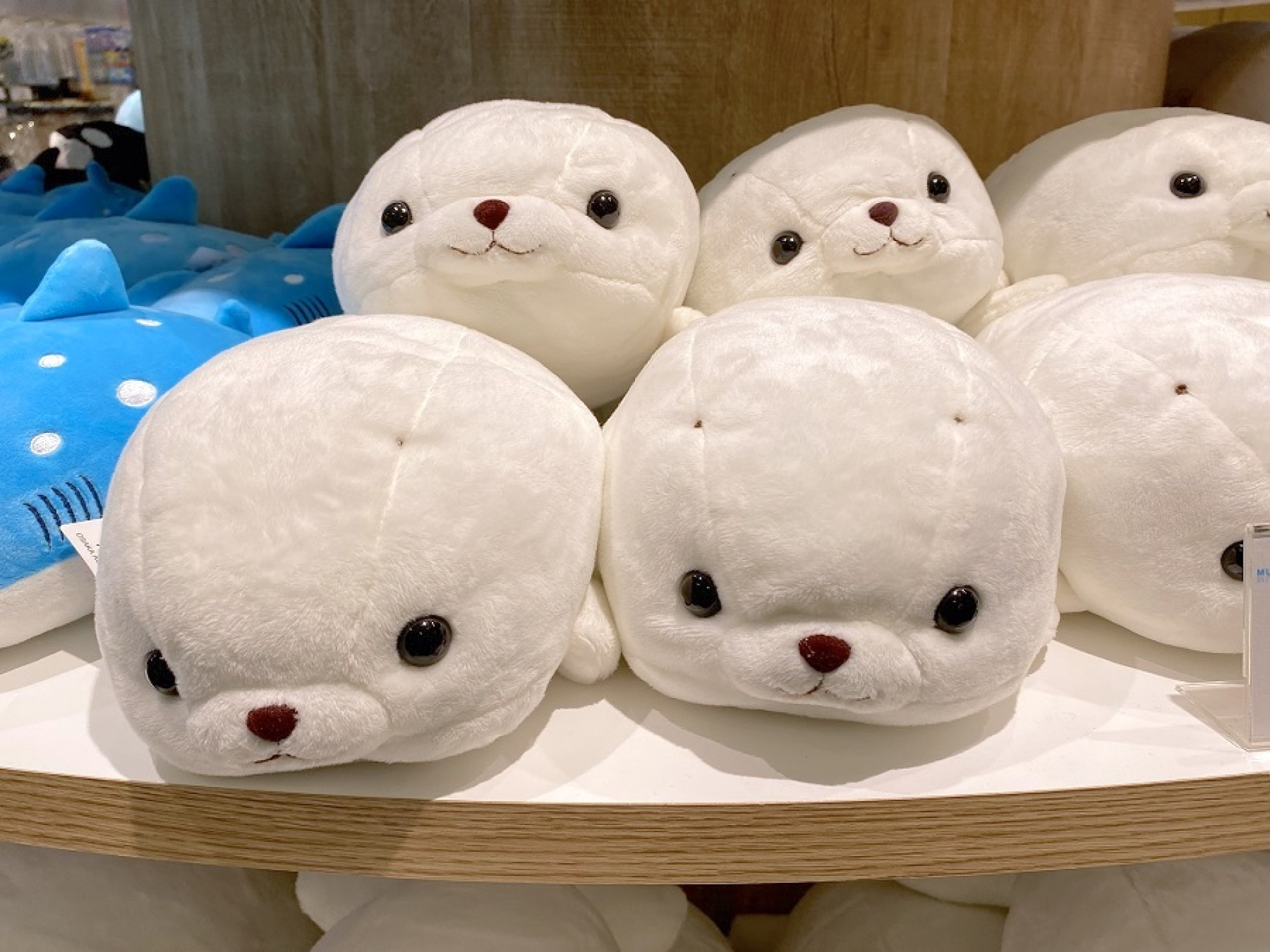 海遊館のお土産 キャステル Castel ディズニー情報 海遊館のお土産 キャステル Castel ディズニー情報