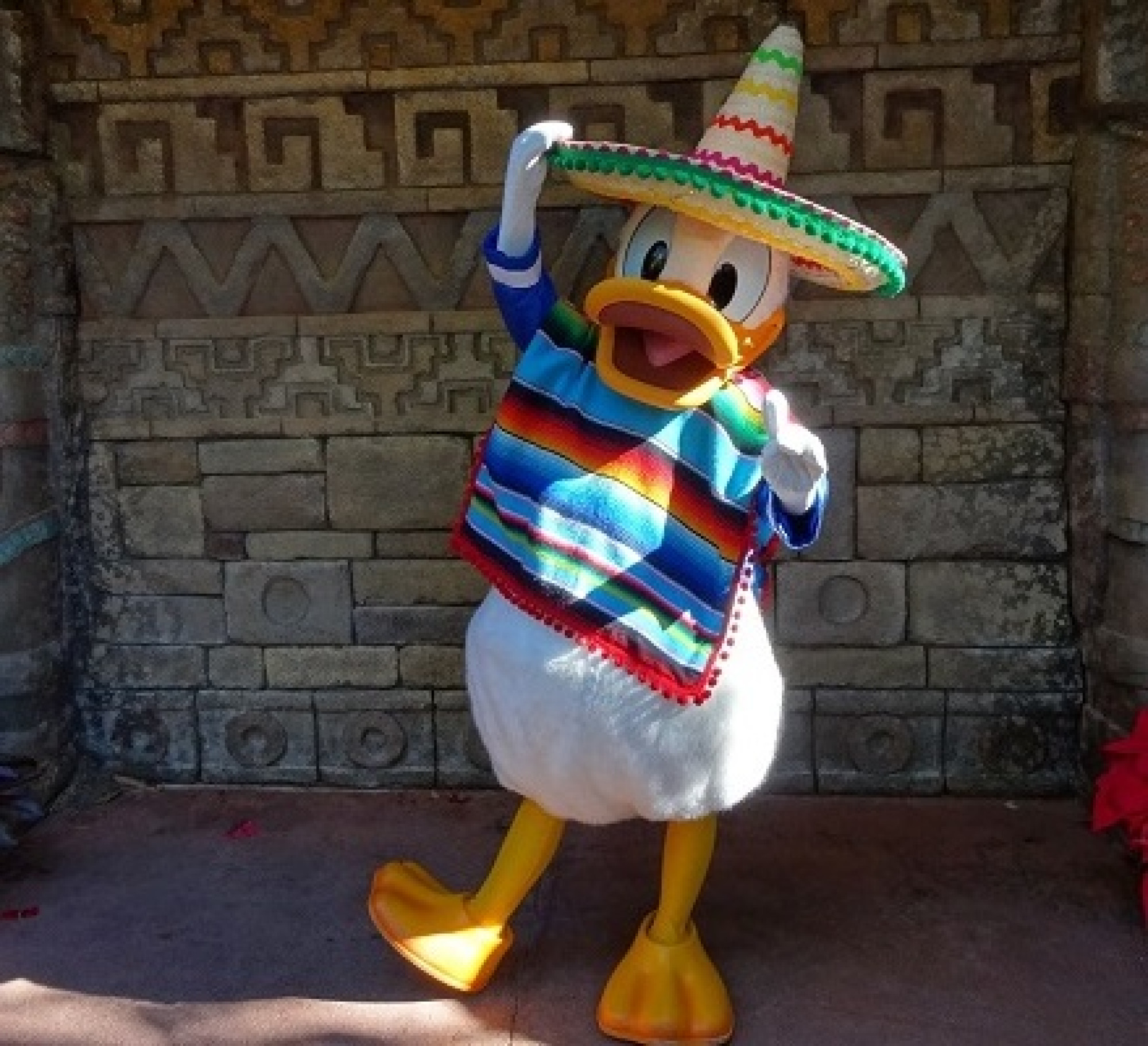 ドナルドダック キャステル Castel ディズニー情報