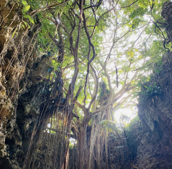 ガンガラーの谷