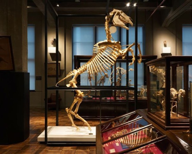 インターメディアテクの展示物