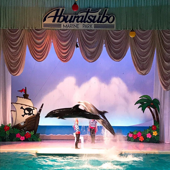 イルカ＆アシカのショー