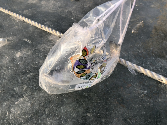 ヤマメ祭りでゲットしたヤマメ