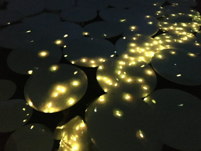 チームラボボーダレスお台場の作品