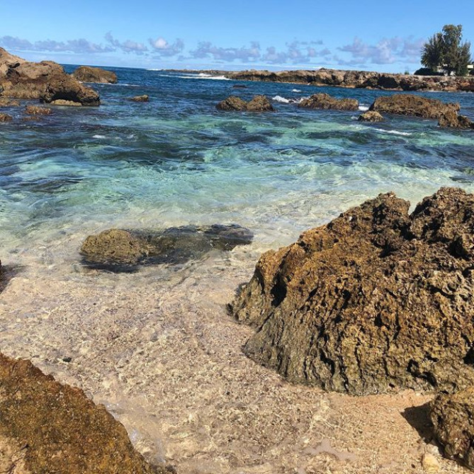 シャークスコープ・ビーチ