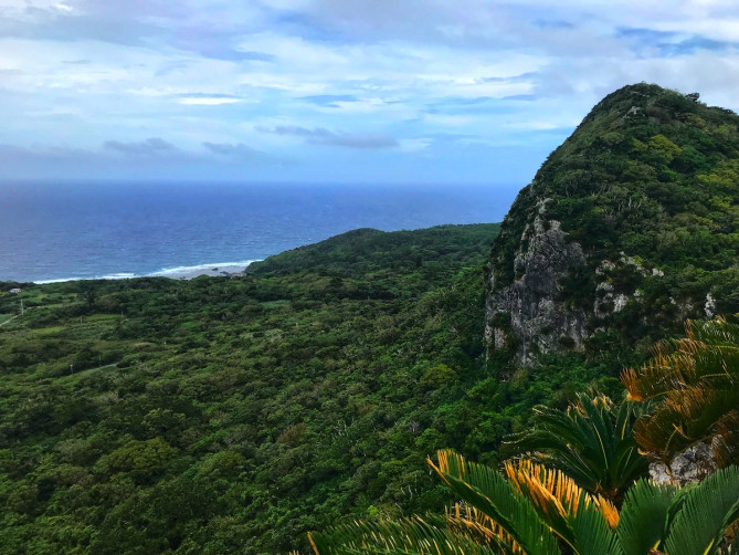亜熱帯の自然が美しい大石林山
