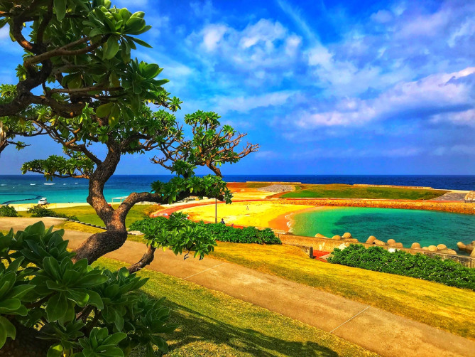 なだらかな丘から見渡すぎのわん海浜公園の浜