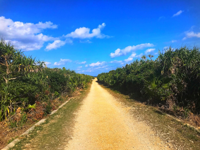 映画のような風景、岬へ続く１本道