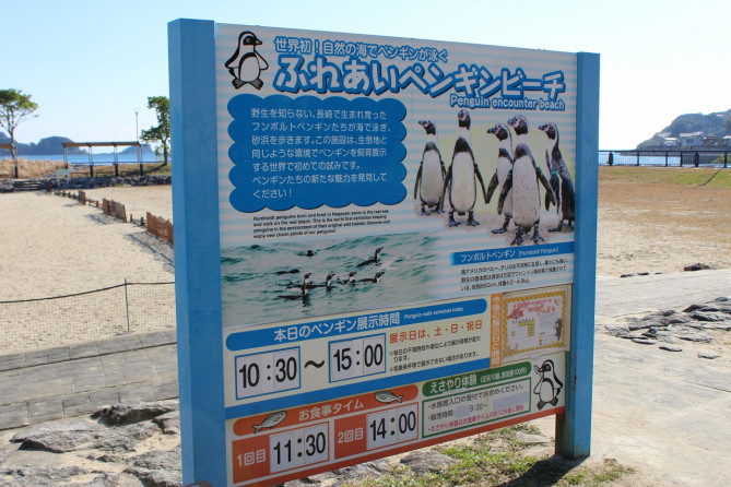ふれあいペンギンビーチ