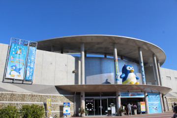 【世界一】長崎ペンギン水族館の体験レポ！チケット料金、アクセス、ランチ、お土産、見どころを紹介♪