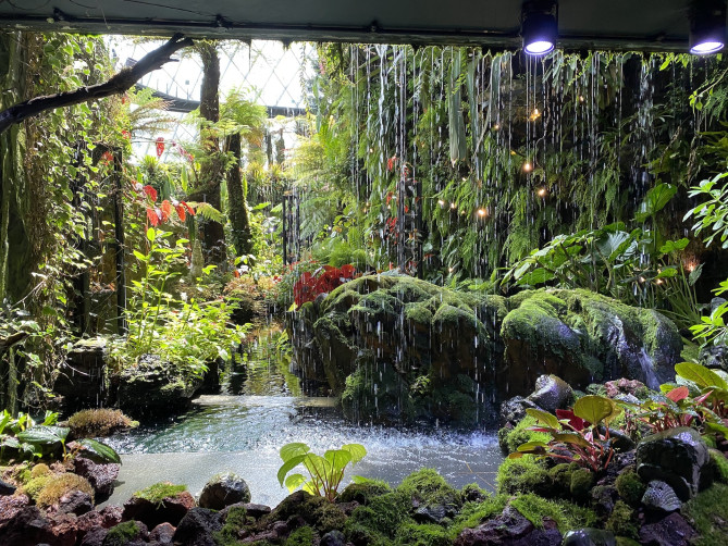 シンガポール自然