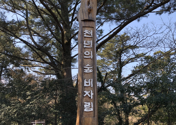 ヒーリング効果抜群のピジャリム