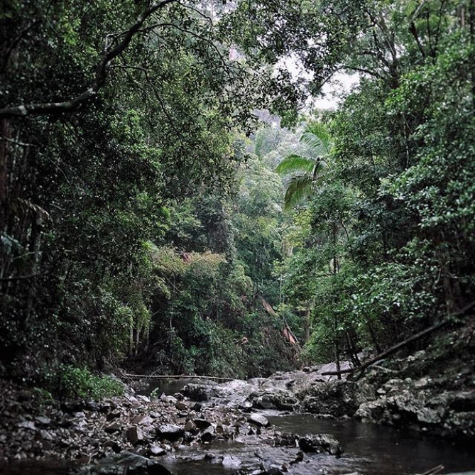 スプリングブルック国立公園