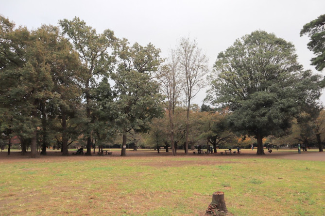 井の頭公園内